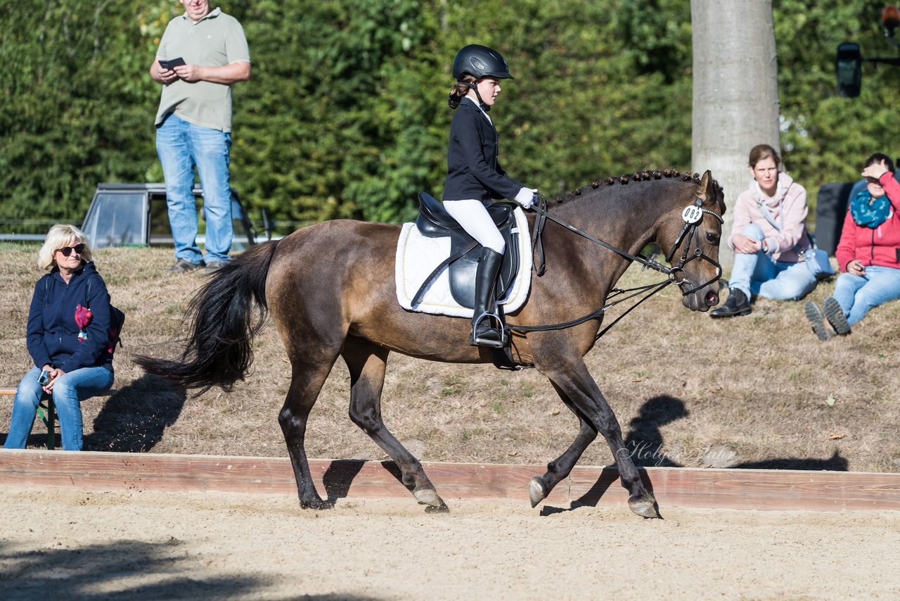 Bild 72 - Pony Akademie Turnier